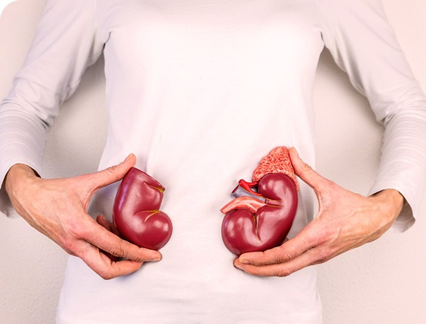 Kidney Transplant at Best Organ Transplant Hospital in India